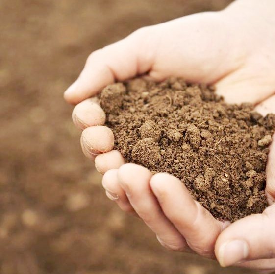 Sludge and soil testing at HydroLabs